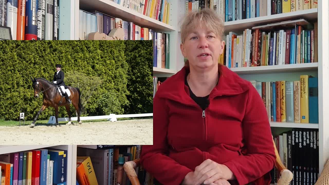 Wie reite ich ein Pferd vor die treibenden Hilfen¿ (1080p_30fps_H264-128kbit_AAC)