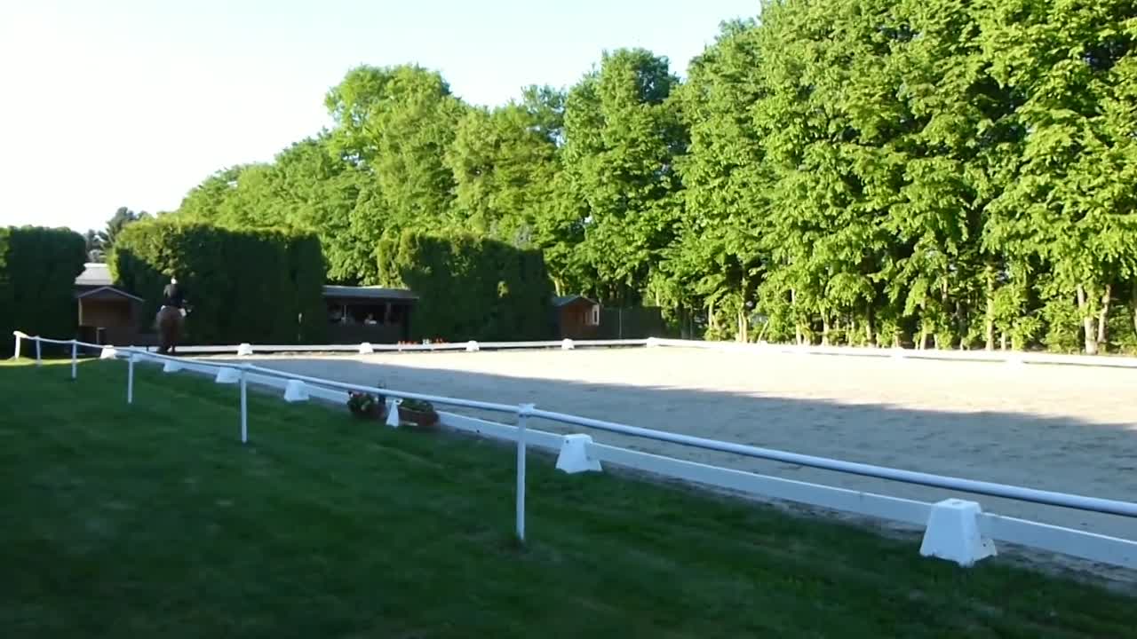 Wie treibe ich ein Pferd¿ (1080p_30fps_H264-128kbit_AAC)