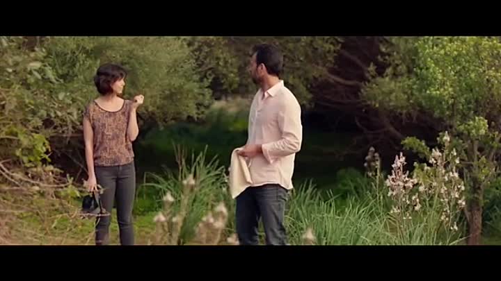 Leaves of the Tree (2015)