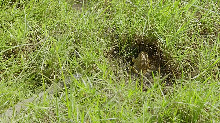 ⁣Africas Claws And Jaws S01E02