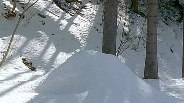 Zwei Weihnachtsmaenner CD1 2008 German PROPER DVDRiP XviD