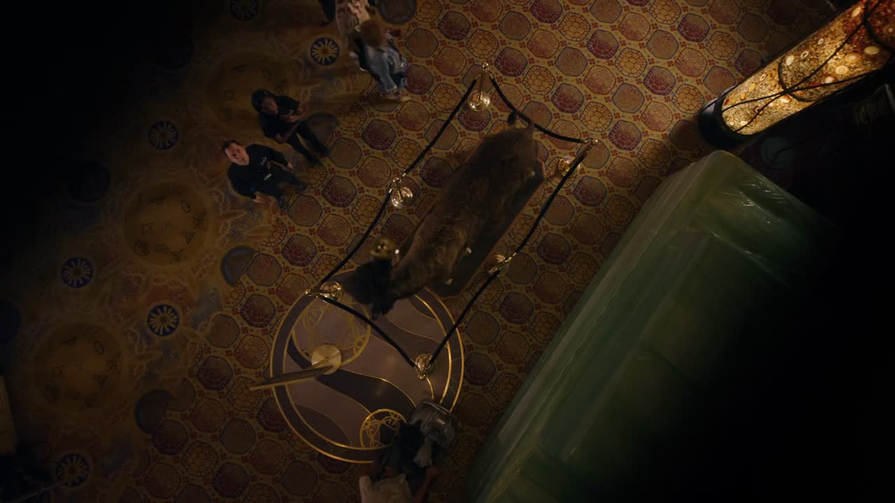 Sneaky Pete S02E10 Switch