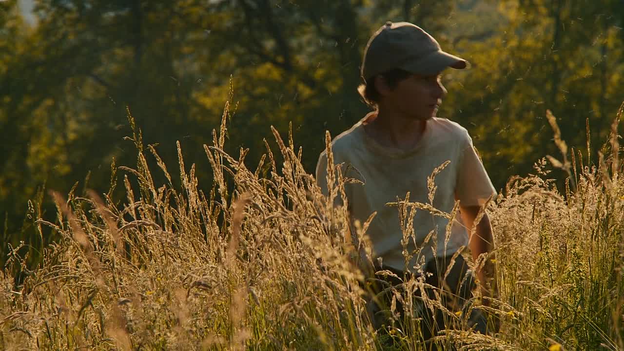 ⁣Cest Le Monde A L Envers 2024 French 720P WEBRIP x264-Wawacity BLOG