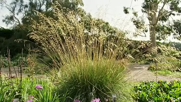 Monty Dons British Gardens S01E03