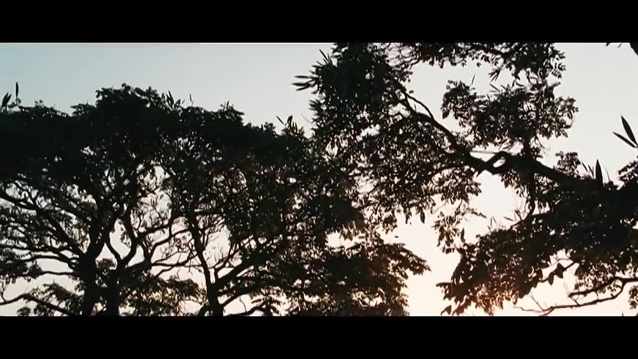 Albert Schweitzer (2009)