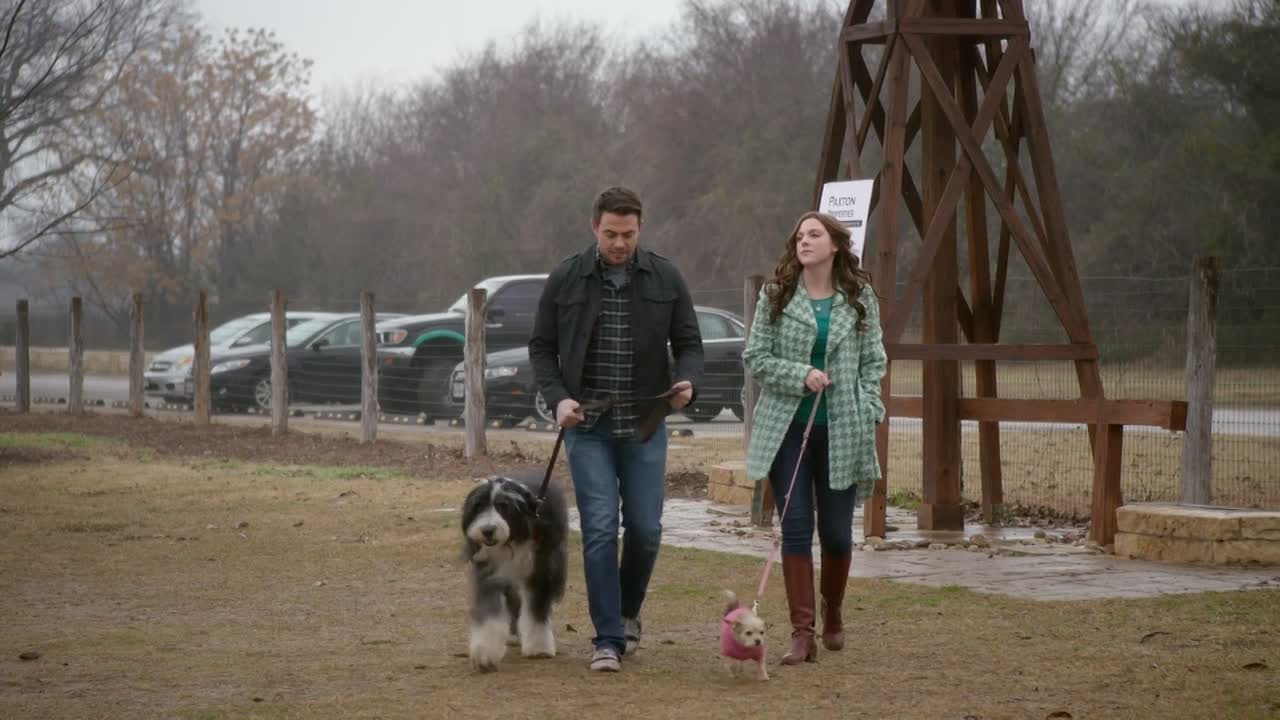 ⁣A Dogwalkers Christmas Tale 2015 1080p WEBRip x264 AAC5 1-
