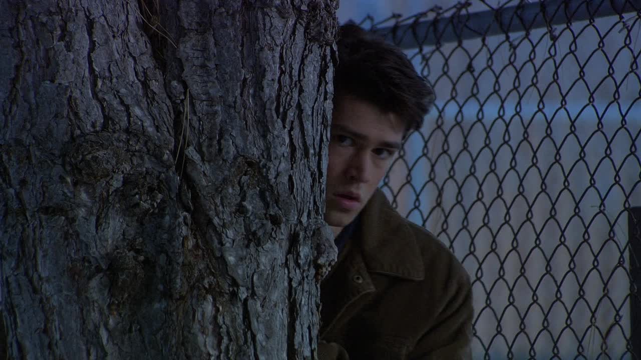 Decoys 1 2004 1080p WEBRip x264 AAC5 1-