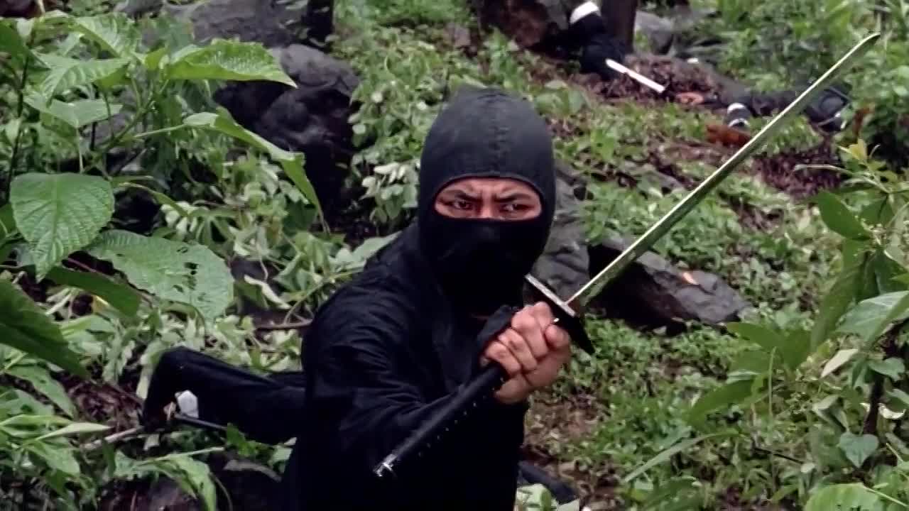 Nine Deaths Of The Ninja 1985 WEBRip x264