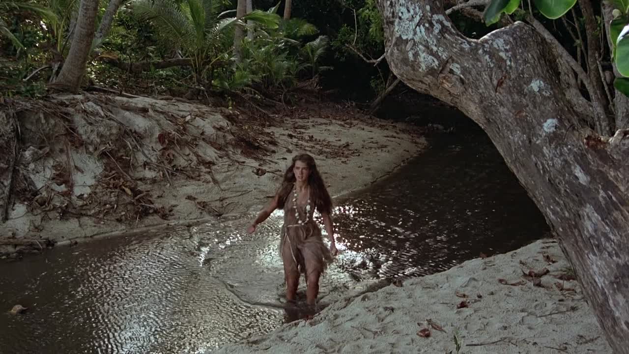 The Blue Lagoon 1980 1080p BluRay x264 [YTS AG]