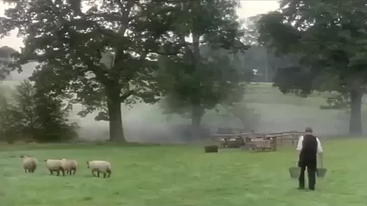 In Suspicious Circumstances -Who's Sorry Now?