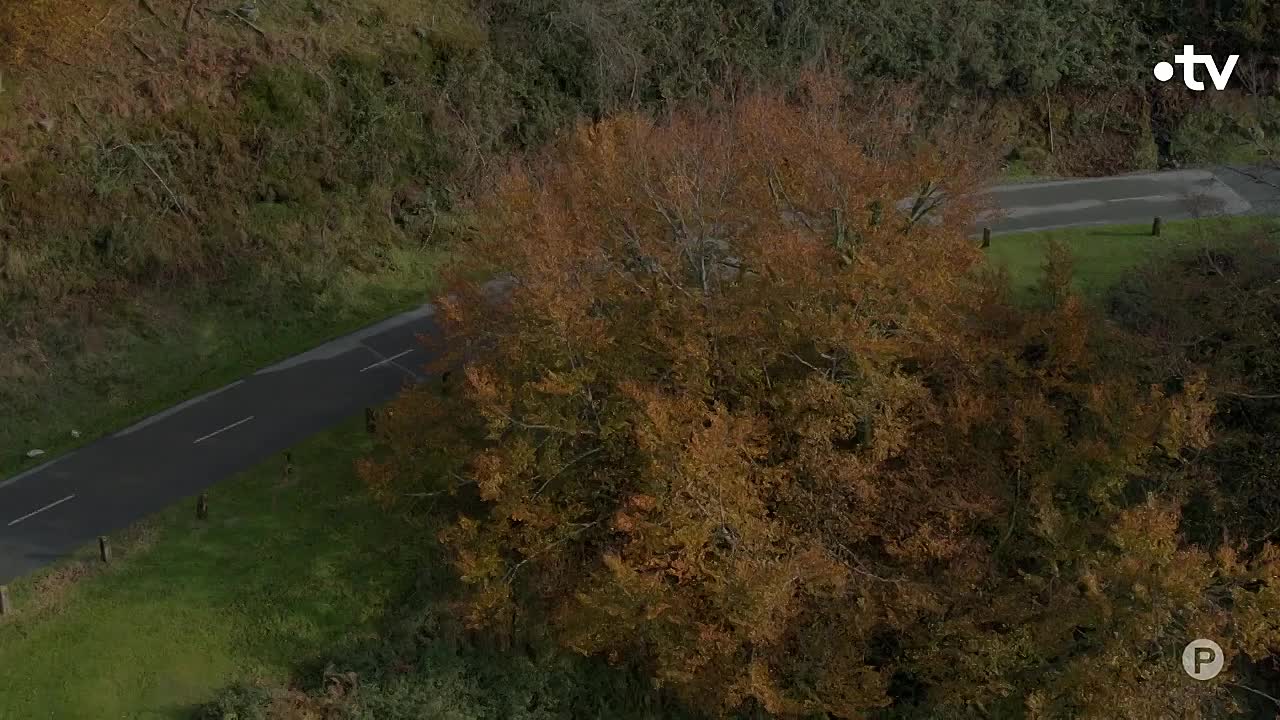 100 % Bio 2021 FRENCH 720p WEBRip H264-Wawacity autos