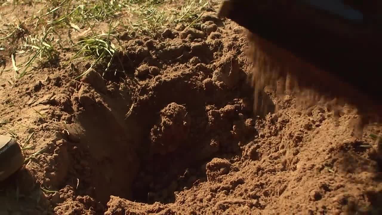 ⁣Ceausescu -Corrupt Dictator of Communist Romania