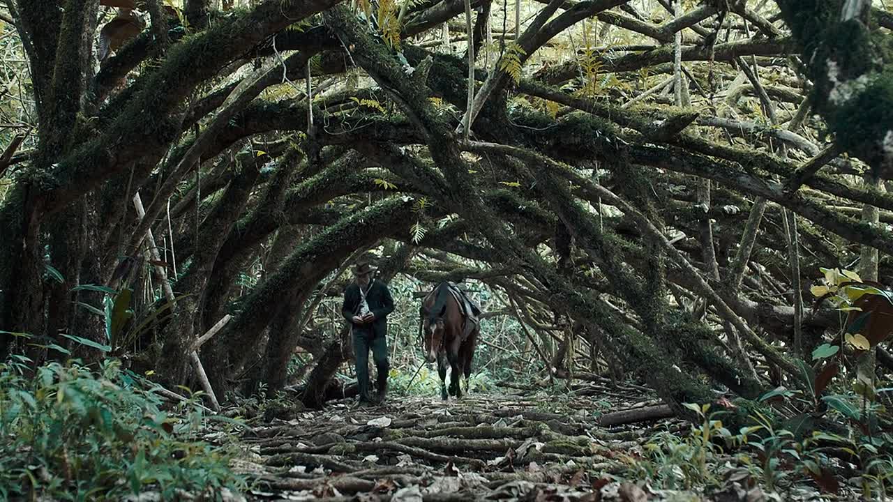 ⁣Gauguin Voyage de Tahiti 2017 FRENCH 1080p BluRay x264-[YTS AM]