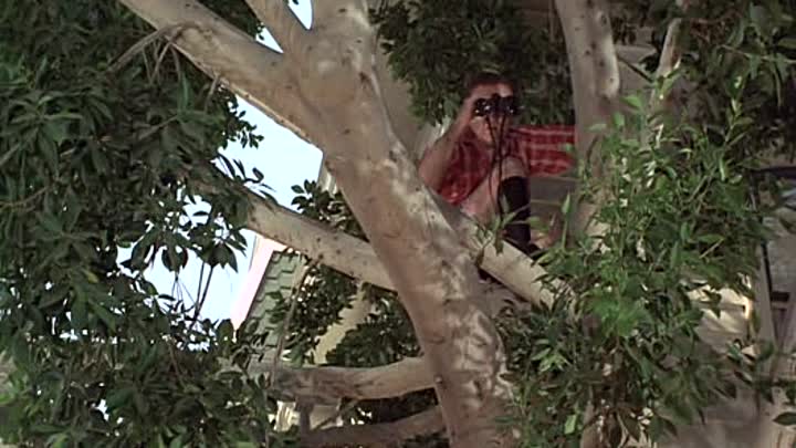 1971 - The Million Dollar Duck