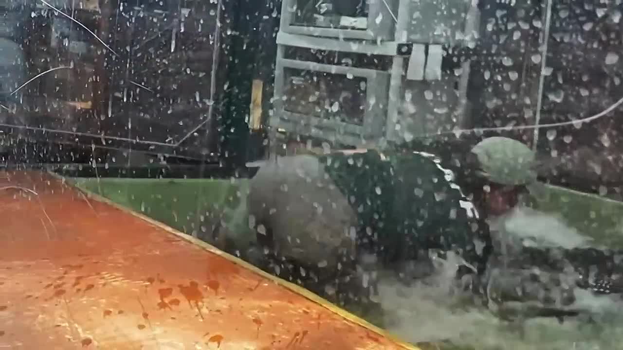 ⁣History's Most Shocking S01E01