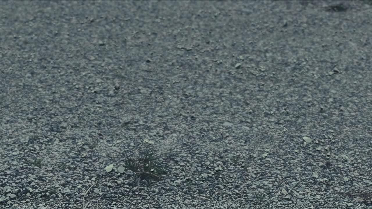 Levels 2024 1080p BluRay x264 AAC5 1-