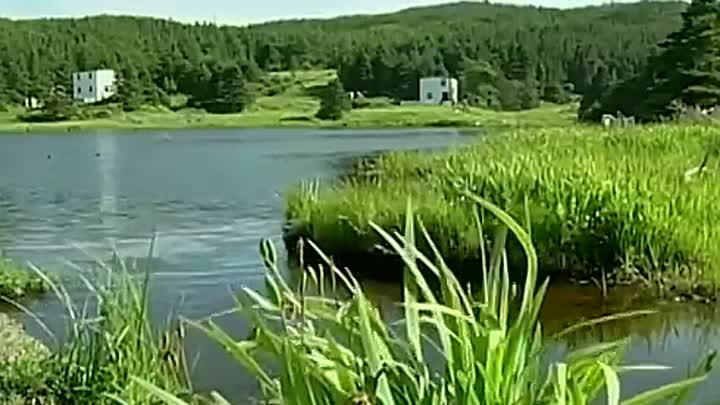 ⁣Can Modern Families Thrive in a 1937 Fishing Village?