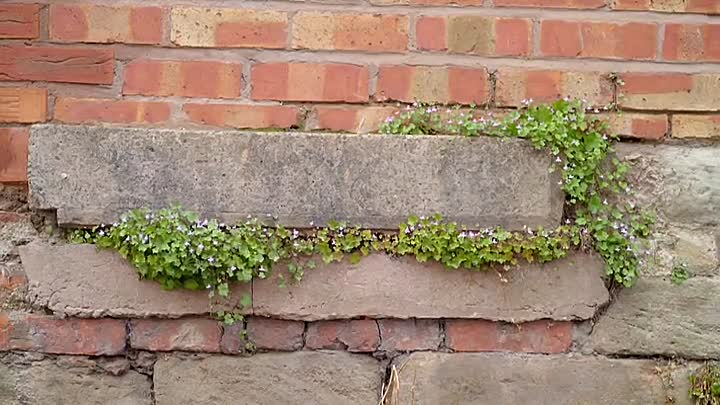 Bill Bailey's Master Crafters S03E01