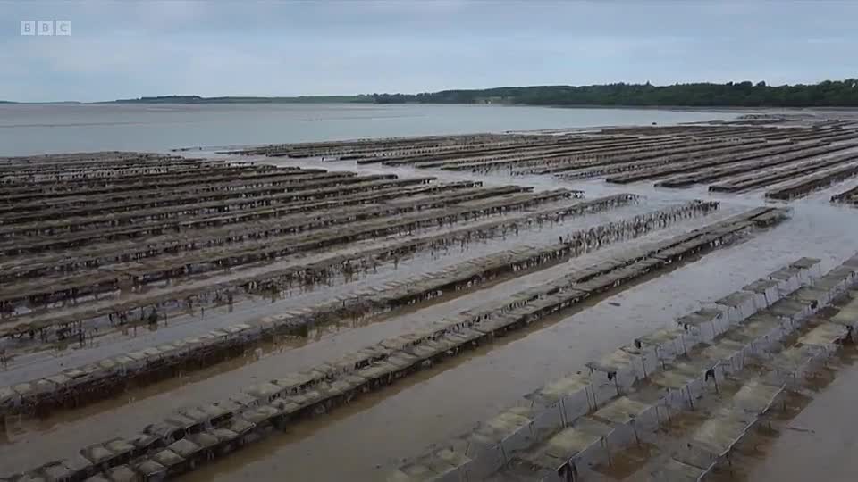 ⁣Anna Haughs Big Irish Food Tour S01E10
