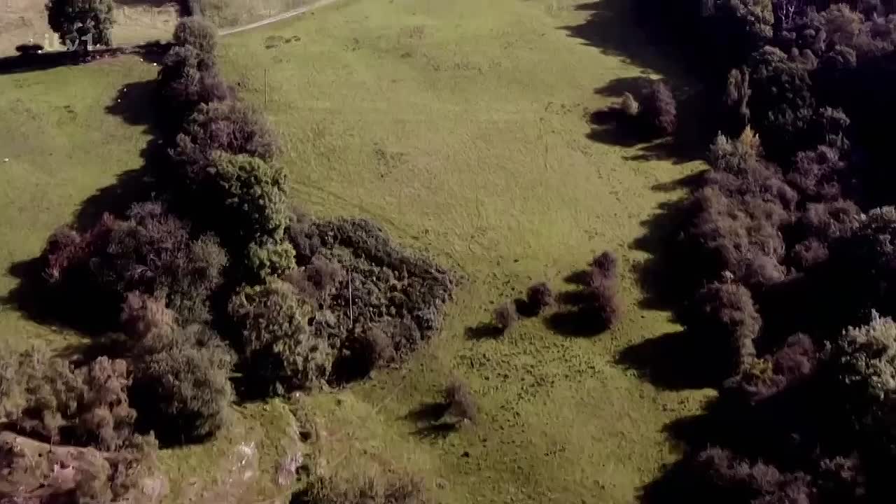 True Crime Presents S01E01 -Murder: The Tattoo Clue