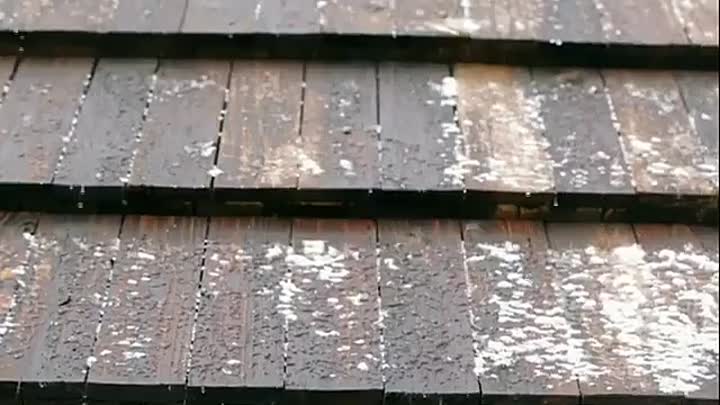 Fear Thy Neighbor Mini-marathon