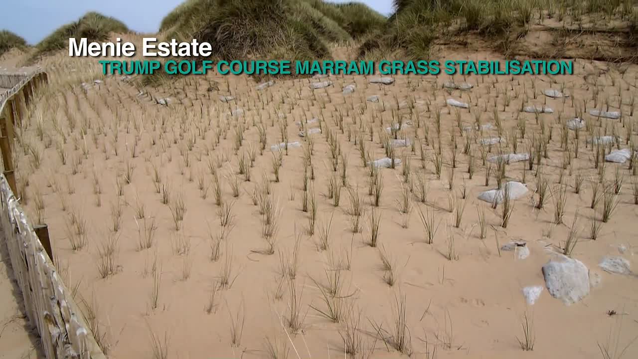 Youve Been Trumped 2011 1080p WEBRip x264 AAC-