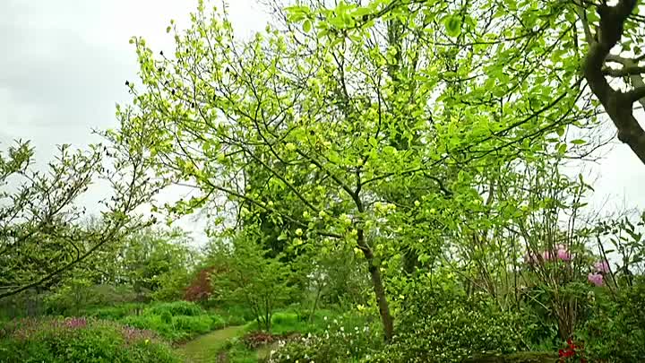 Monty Dons British Gardens S01E05