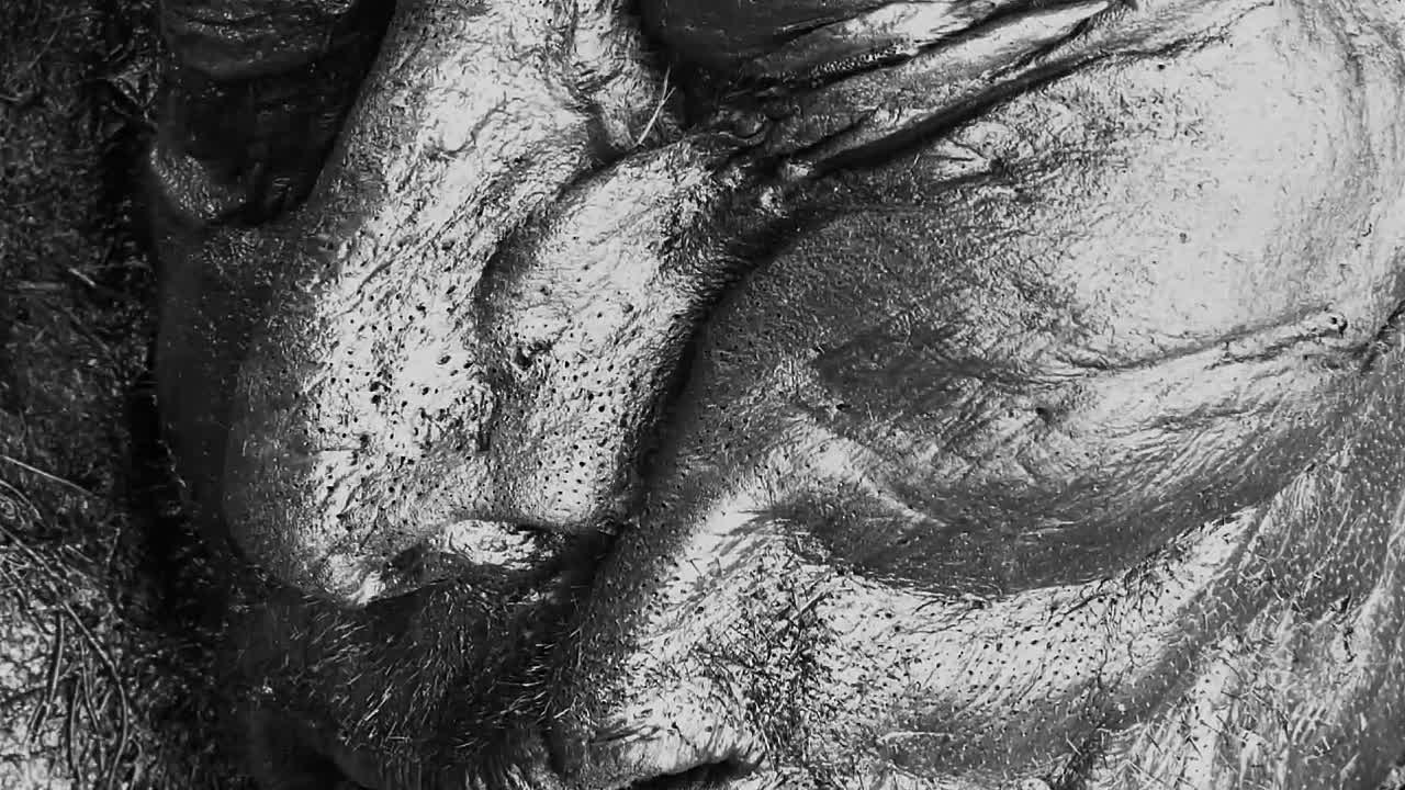 Simon Schama's Story Of Us S01E03