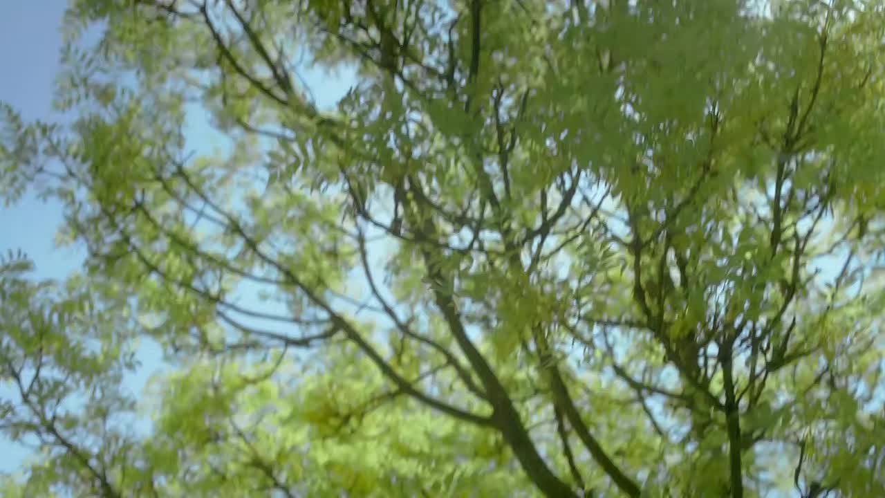 No Offence 2015 S02E01