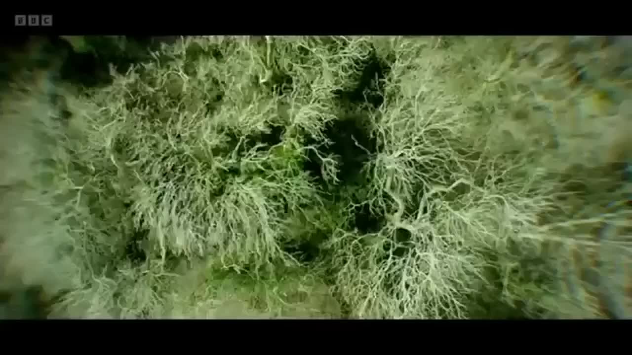 The Brutal Murder of Mark Noke