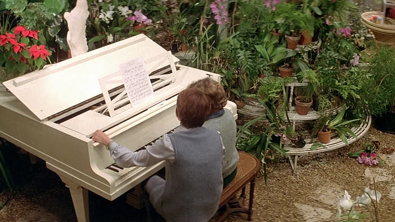 La Zizanie 1978 FRENCH 1080p HDLight x264 AC3 2 0-BzH29