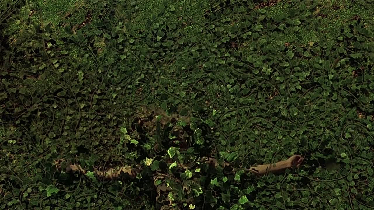 The Messenger The Story Of Joan Of Arc 1999 1080p BluRay x264-[YTS AM]