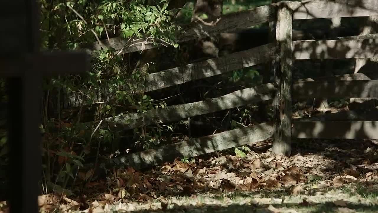 ⁣The Fox Hollow Murders -Playground Of A Serial Killer S01E02 -A House with Good Bones