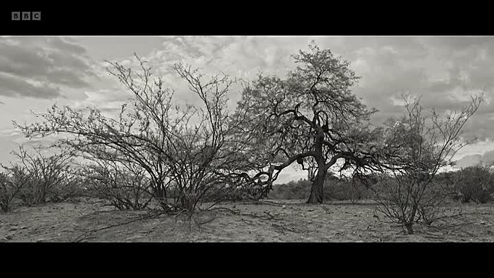 ⁣Storyville S2025E04