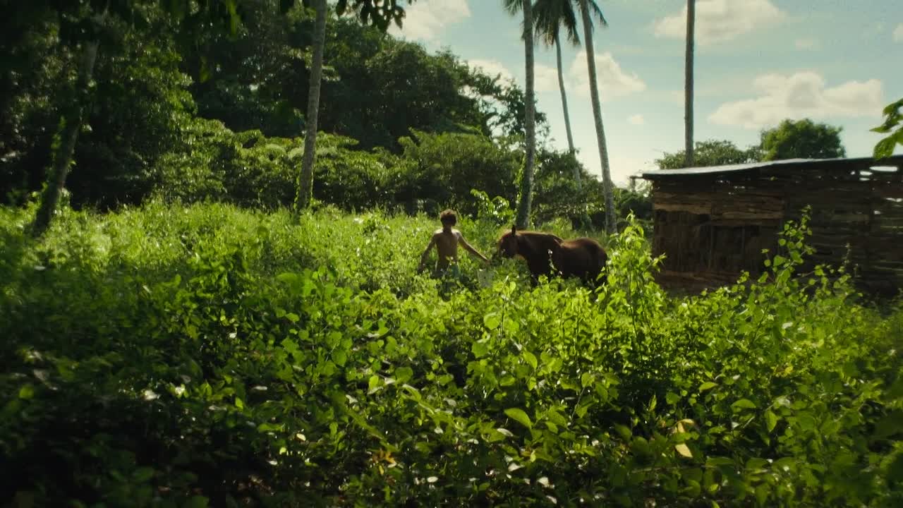 Los Frikis 2024 SPANISH HC ENG SUBS 1080p WEBRip x264 AAC5 1-