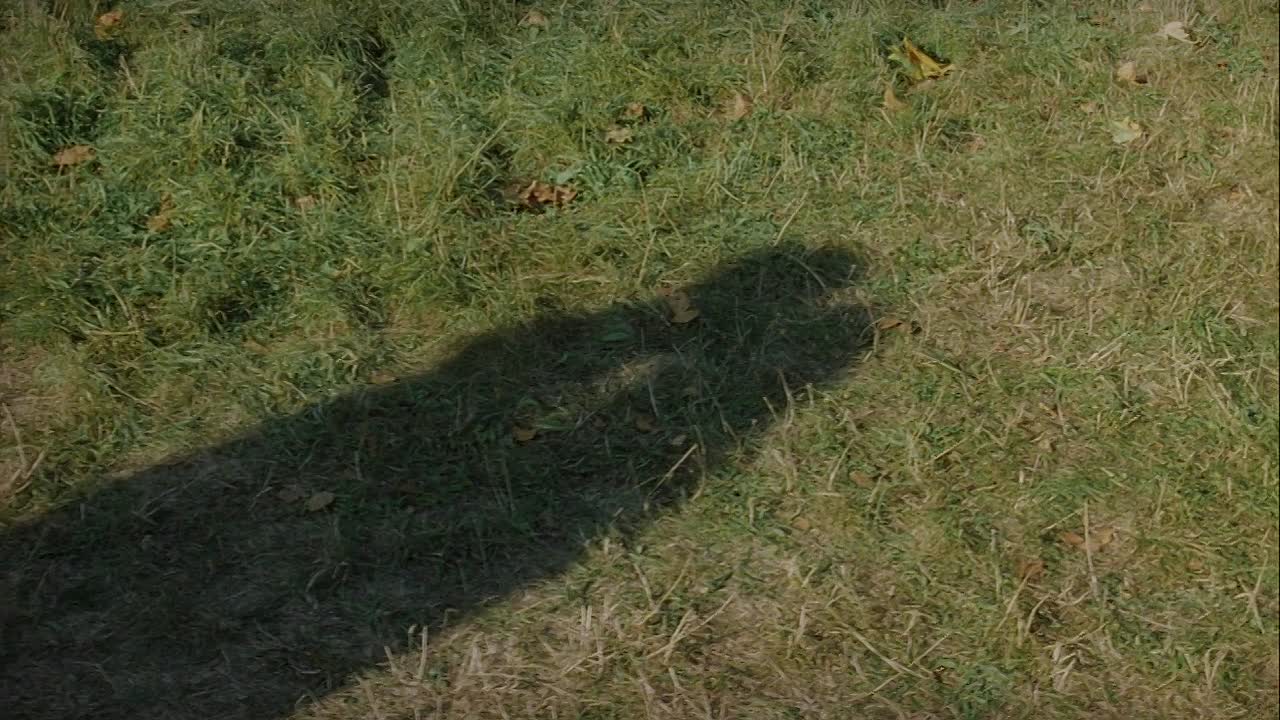 La Captive 2000 FRENCH 720p BluRay x264 AAC-