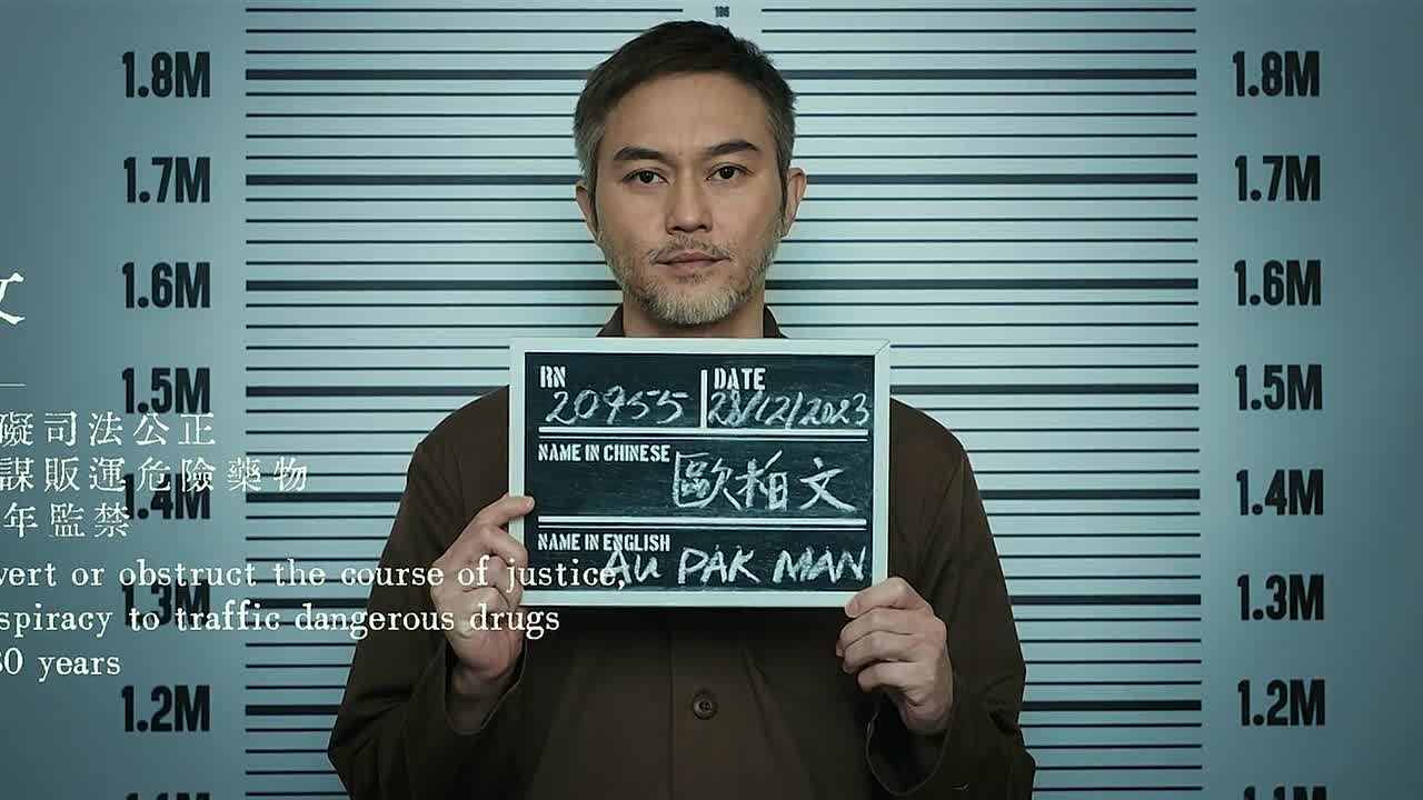 The Prosecutor 2024 CHINESE HC ENG SUBS 1080p BluRay x264 AAC5 1-