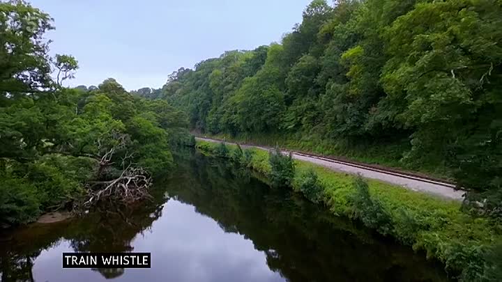 Tales from the Riverbank S01E02