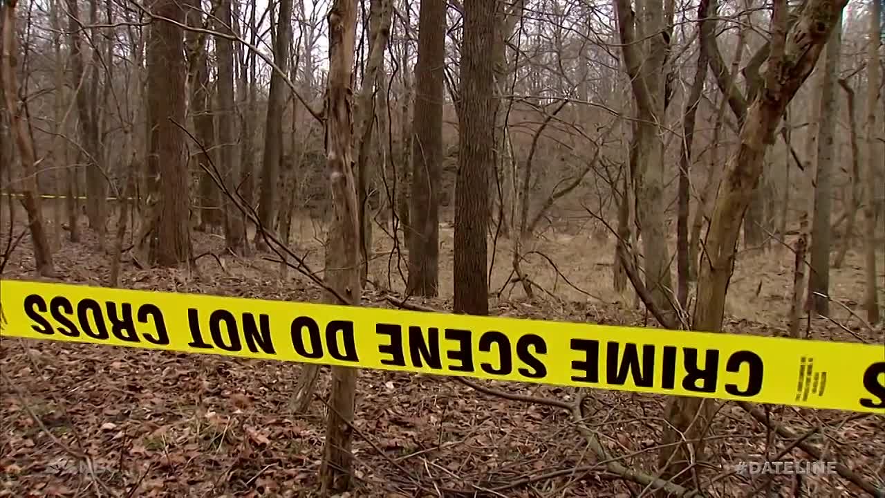 Dateline -A Walk Through The Woods