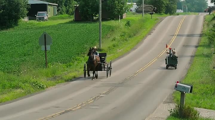 How I Escaped My Cult S01E09 -The Bergholz Clan