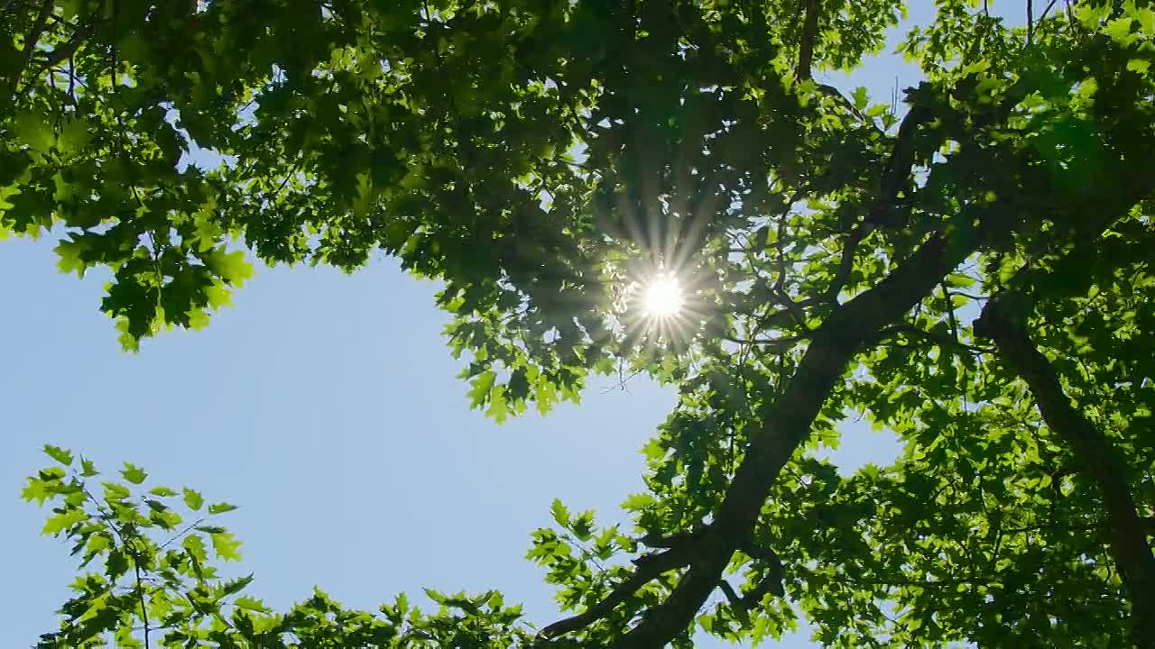 The Americas S01E01 -The Atlantic Coast