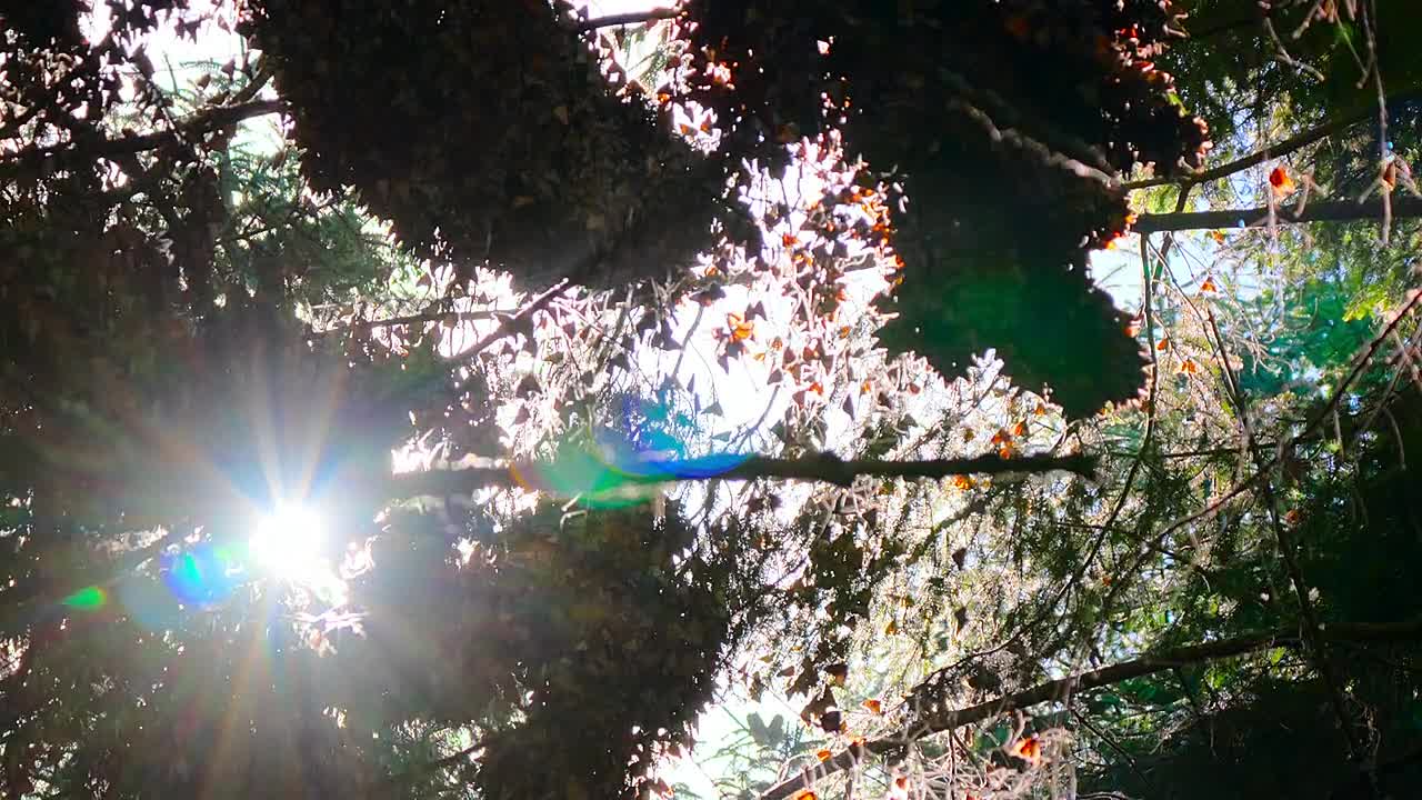 The Americas S01E02 -Mexico