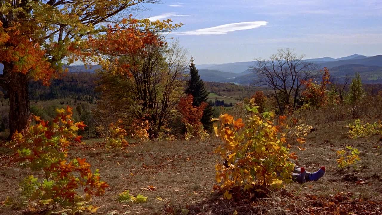 The Trouble With Harry 1955 REPACK 1080p BluRay x264 AAC-