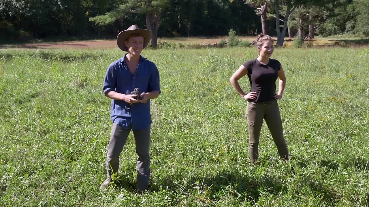 Black Beauty 2015 1080p WEBRip x264 AAC5 1-