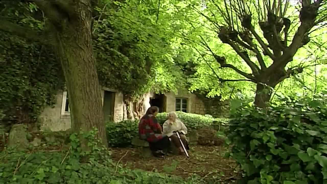 The Fake Van Gogh Paintings  -Real Crime