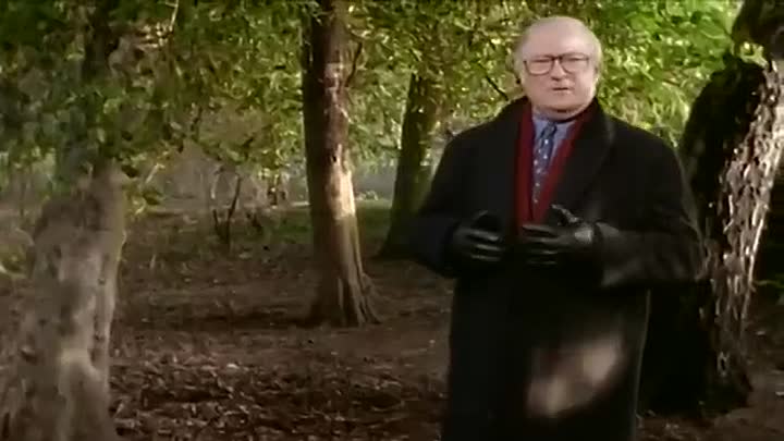 In Suspicious Circumstances -Ring Of True/The Golden Goose (1996)