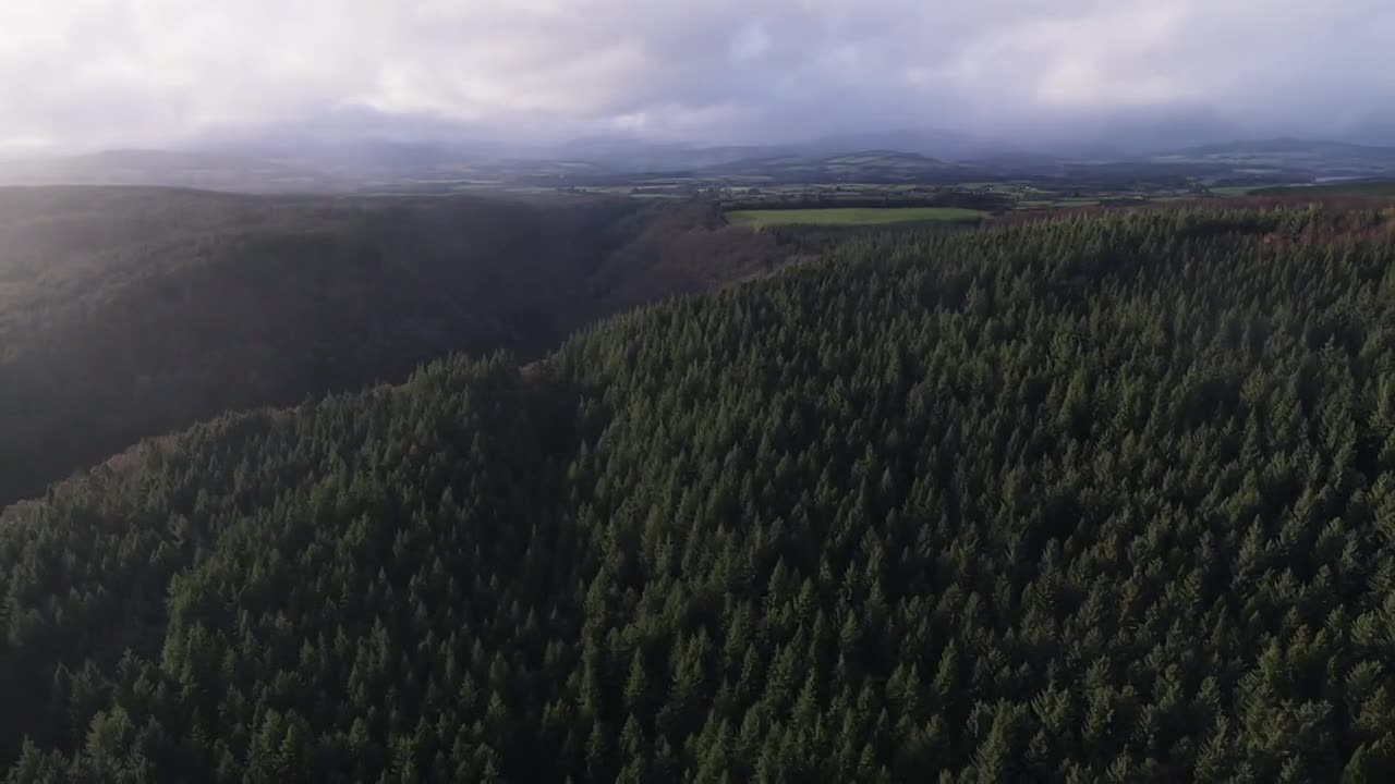 The Vanishings 2025 S01E05