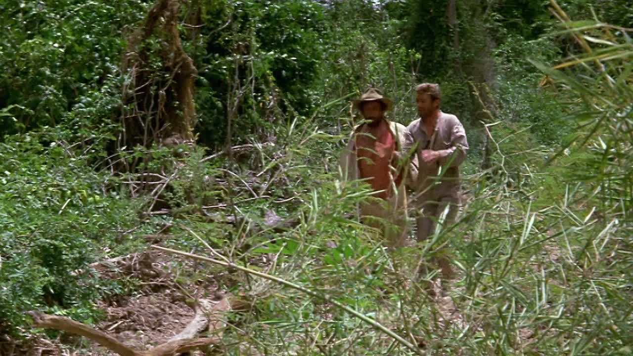 Murphys War 1971 1080p BluRay x264 AAC-