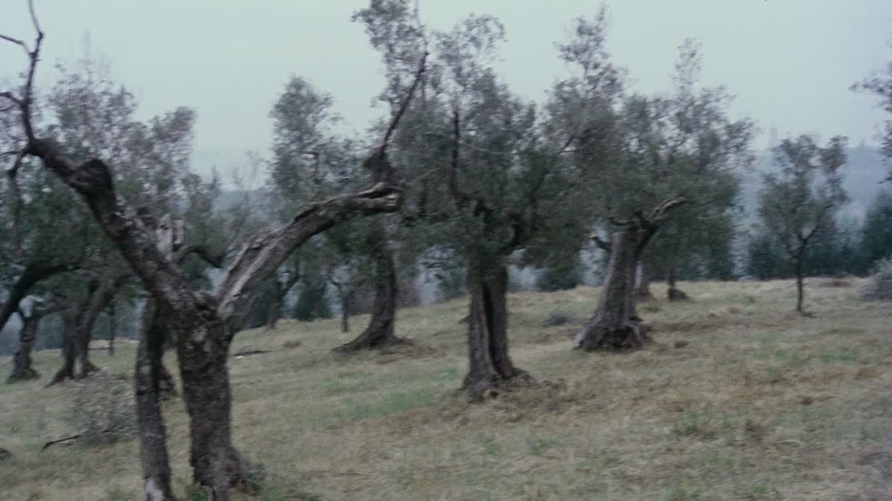 Amici Miei 1975 ITALIAN HC ENG SUBS 1080p BluRay x264 AAC5 1-