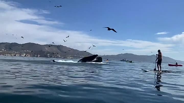 ⁣History's Most Shocking S01E03